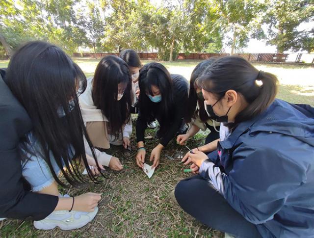 「從噍吧哖事件看見山林生存法則」113年春節特別企劃