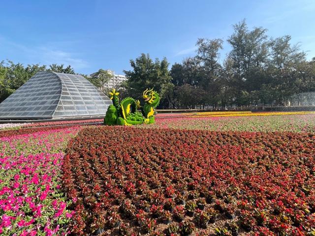 新春公園花卉妝點(南瀛綠都心)