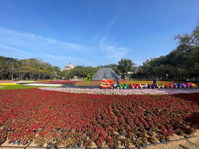 新春公園花卉妝點(南瀛綠都心)