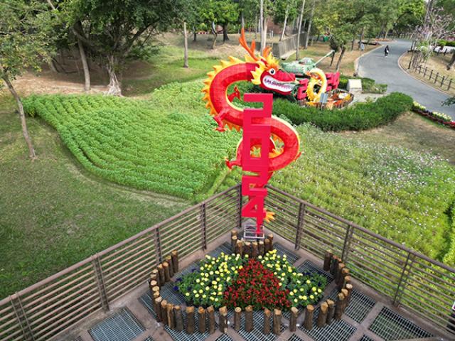 新春公園花卉妝點(永康公園)