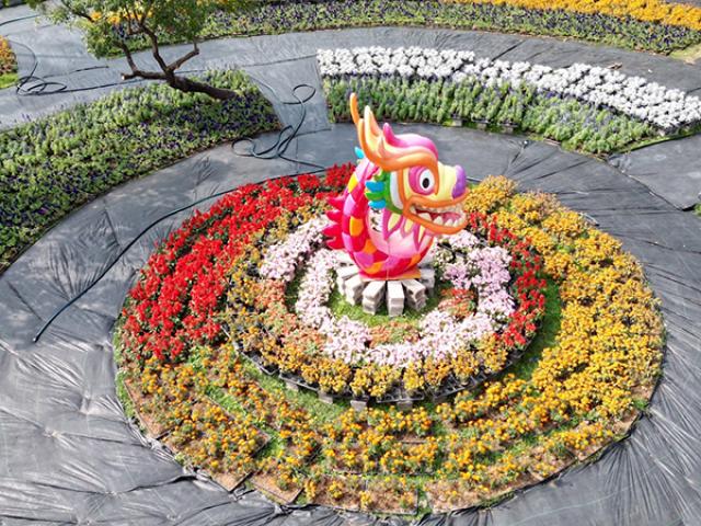 新春公園花卉妝點(永康公園)