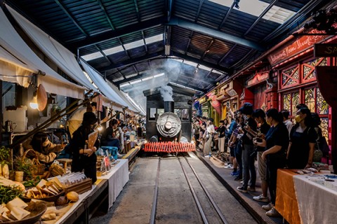 2026魔法屾林博覽會