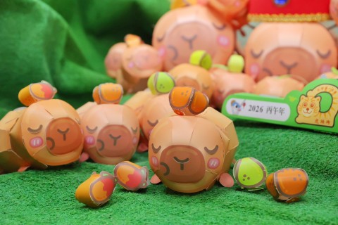 卡比胖拉小提燈發放活動